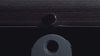Intelligent Watch Winder with Fingerprint Brummell Winders Brand (Teaser)