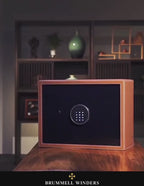 Watch Winder Safe - The Guardian