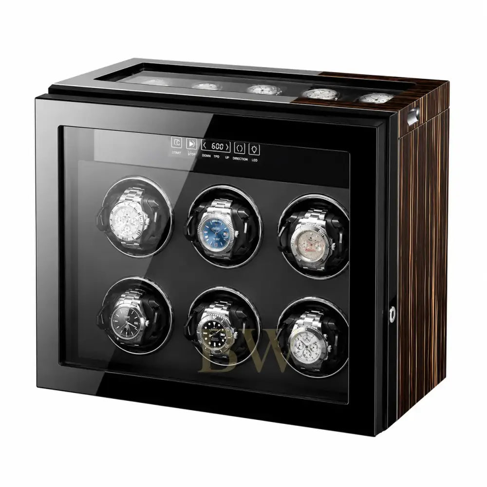 Watch winder with six watches on a white background